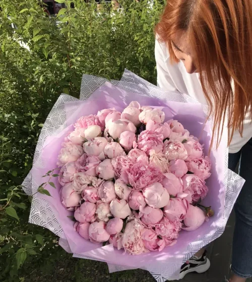 Букет из 51 пиона